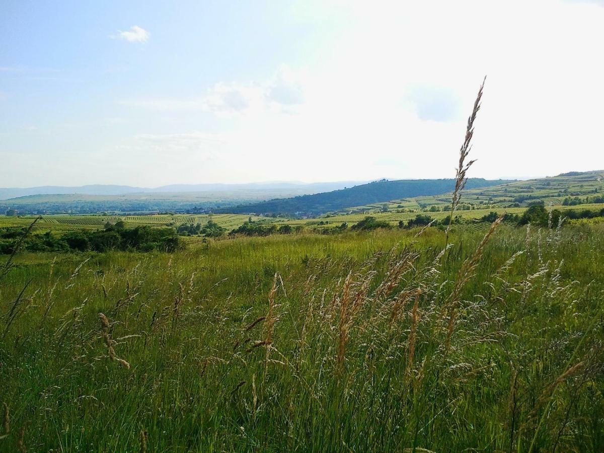 Marienschloessl Panzió Wiedendorf Kültér fotó